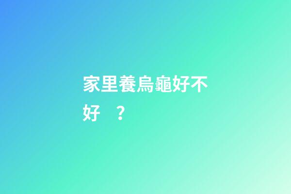 家里養烏龜好不好？